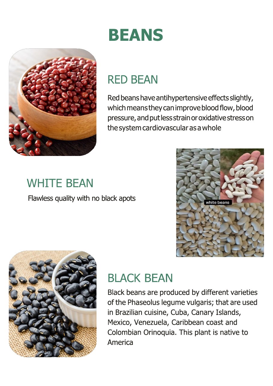 Product catalogue page 4