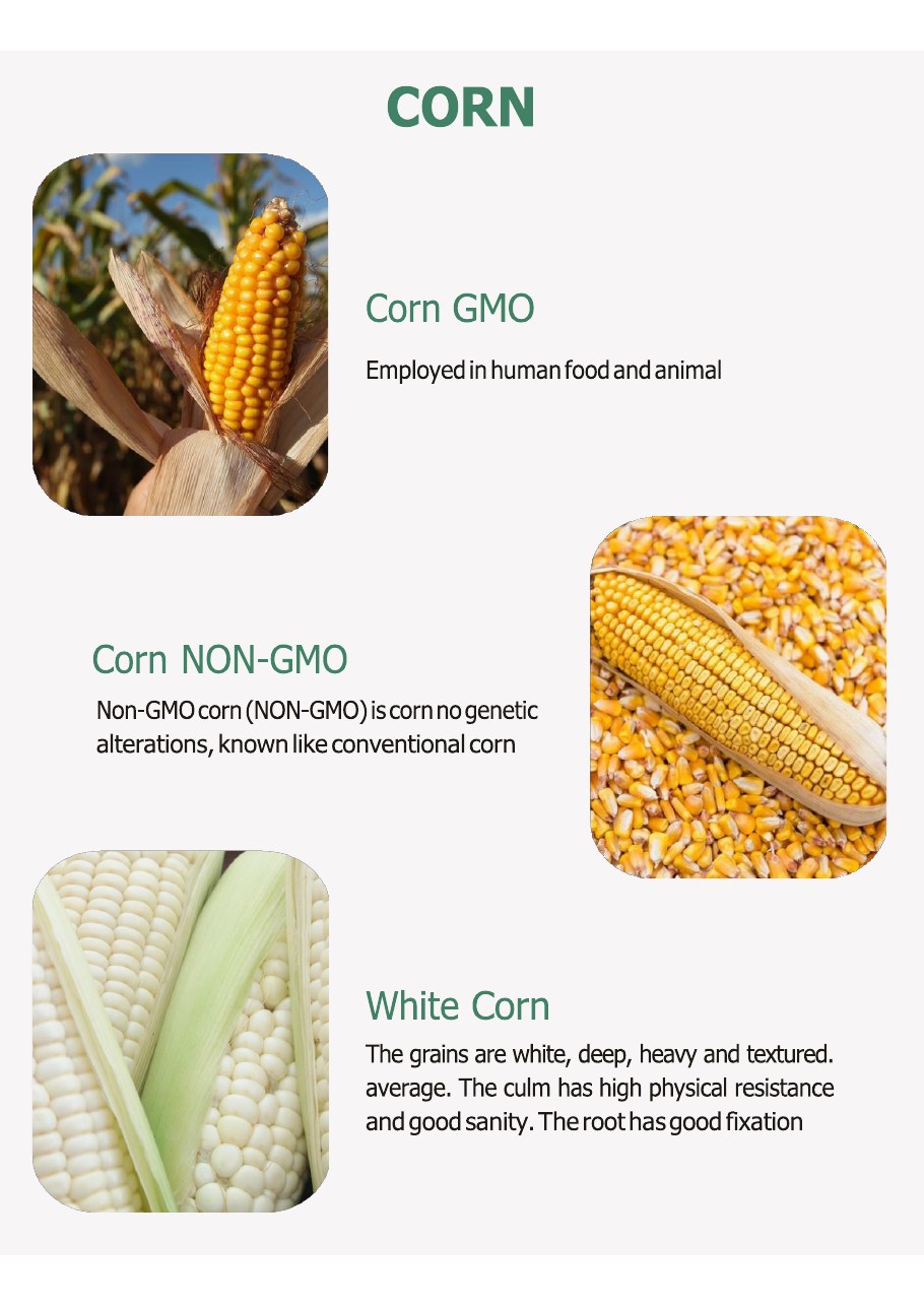 Product catalogue page 5