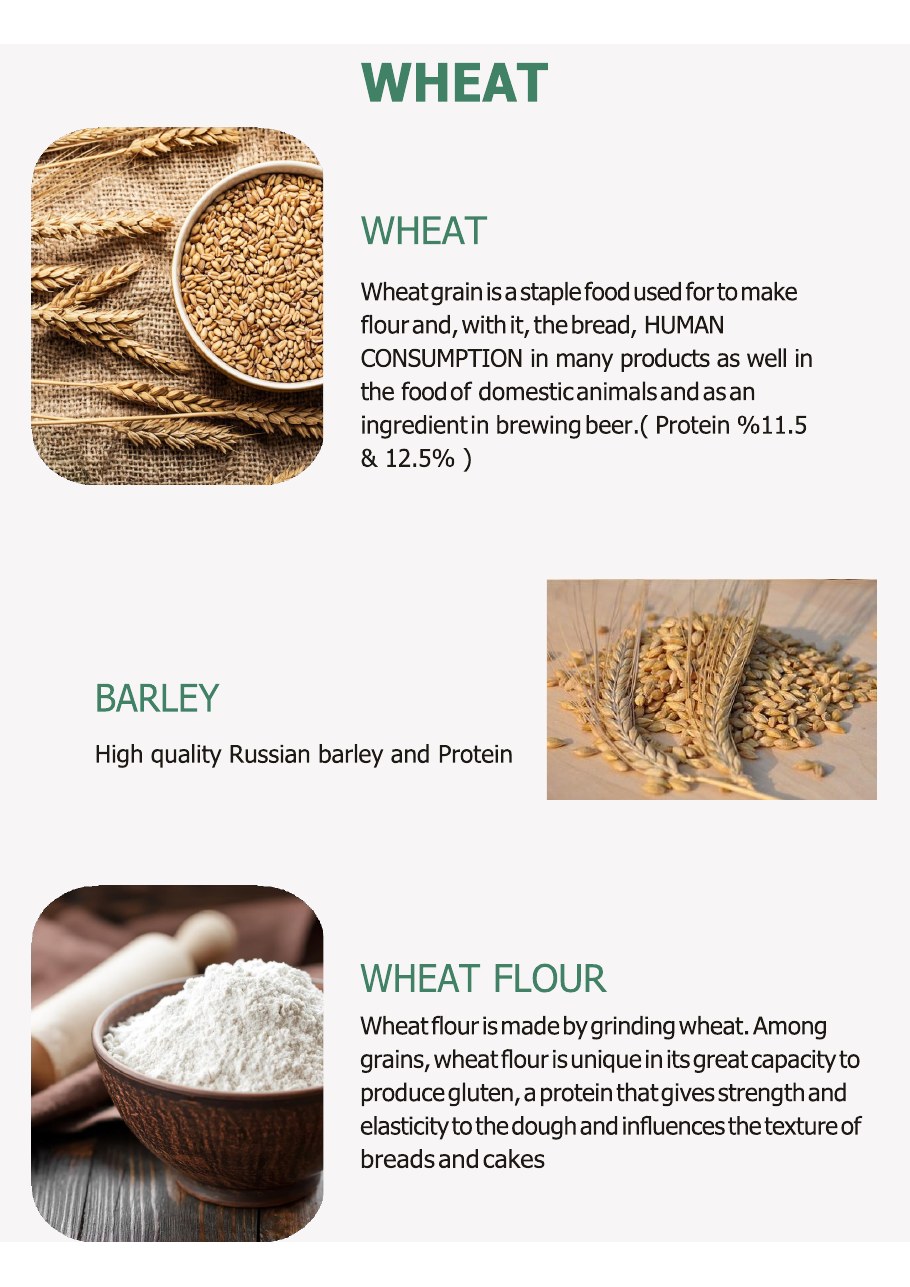 Product catalogue page 6