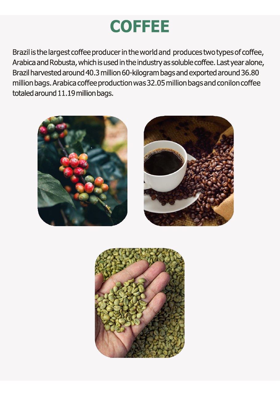 Product catalogue page 14